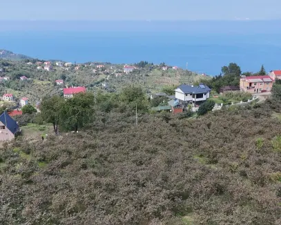 TRABZON MERSİN GÖL MAHALLESİ DENİZ MANZARA-EĞİMSİZ FIRSAT ARSA